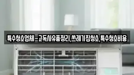 특수청소업체-고독사유품정리,쓰레기집청소,특수청소비용