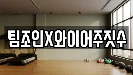 팀조인X와이어주짓수