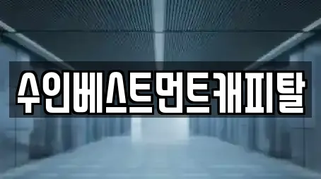 수인베스트먼트캐피탈