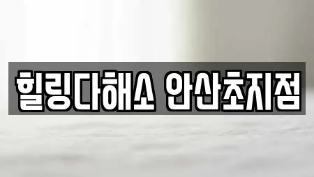 힐링다해소 안산초지점