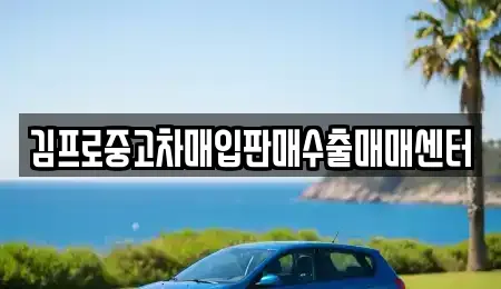 김프로중고차매입판매수출매매센터