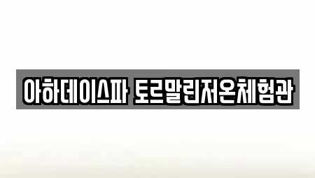 아하데이스파 토르말린저온체험관