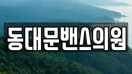 동대문밴스의원