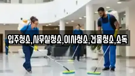 입주청소,사무실청소,이사청소,건물청소,소독