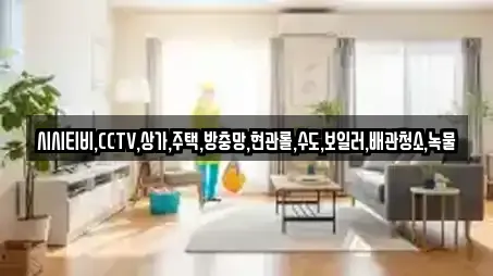 시시티비,CCTV,상가,주택,방충망,현관롤,수도,보일러,배관청소,녹물