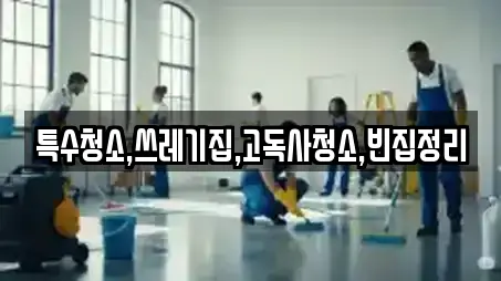 특수청소,쓰레기집,고독사청소,빈집정리