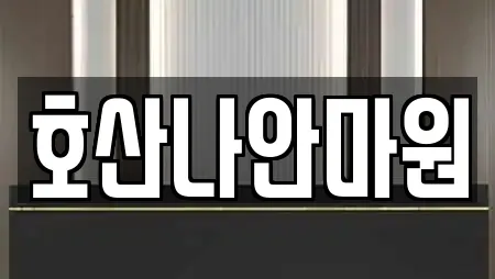 호산나안마원