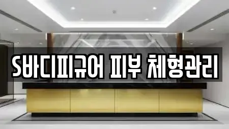 S바디피규어 피부 체형관리