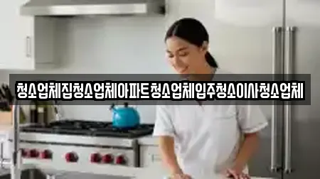 청소업체집청소업체아파트청소업체입주청소이사청소업체