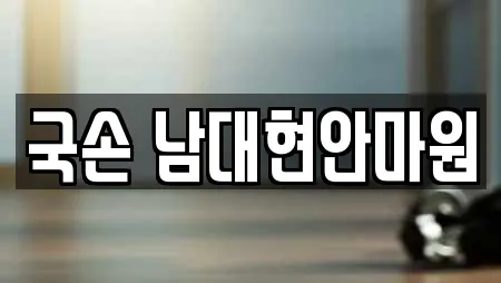 국손 남대현안마원