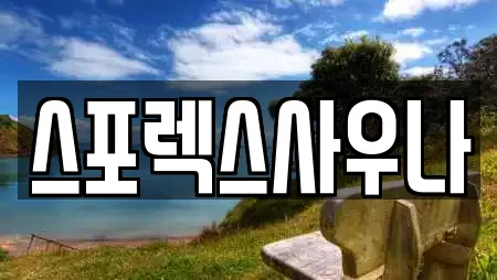 스포렉스사우나