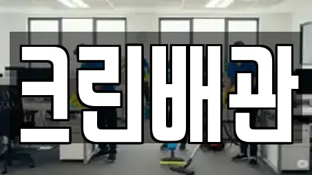 청소업체 13곳 제공 (죽동)