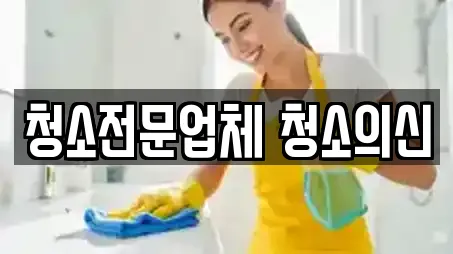 청소전문업체 청소의신