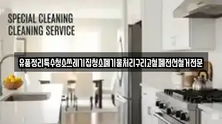 유품정리특수청소쓰레기집청소폐기물처리구리고철폐전선철거전문