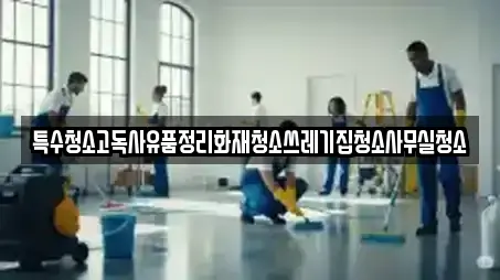 특수청소고독사유품정리화재청소쓰레기집청소사무실청소