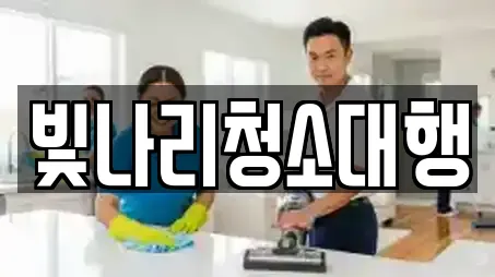 빛나리청소대행