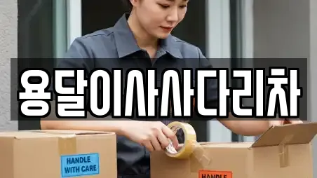 용달이사사다리차