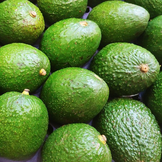 아보카도 5kg, 현명한 구매와 완벽 활용 마스터 가이드