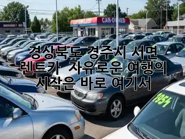 경상북도 경주시 서면 렌트카 🚗✨ 자유로운 여행의 시작은 바로 여기서!