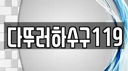 다뚜러하수구119