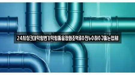 24시싱크대막힘변기막힘뚫음정화조역류수전누수하수구뚫는업체