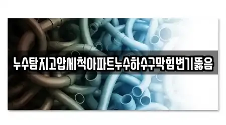 누수탐지고압세척아파트누수하수구막힘변기뚫음