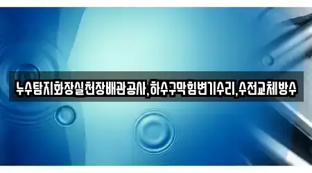 누수탐지화장실천장배관공사,하수구막힘변기수리,수전교체방수