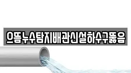 으뜸누수탐지배관신설하수구뚫음