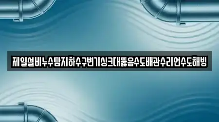싱크대뚫음,누수탐지,변기막힘,하수구막힘,하수구뚫음 최신 18 경기 안성 공도읍곳 찾기