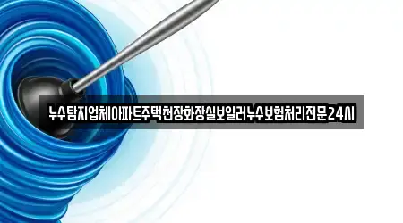 누수탐지업체아파트주택천장화장실보일러누수보험처리전문24시