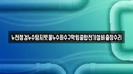 누전점검누수탐지빗물누수하수구막힘종합전기설비출장수리