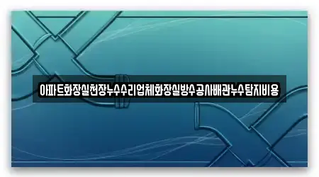 아파트화장실천장누수수리업체화장실방수공사배관누수탐지비용