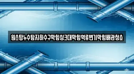 원스탑누수탐지하수구막힘싱크대막힘역류변기막힘배관청소