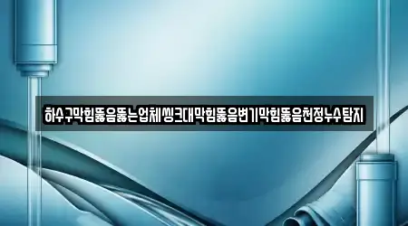 하수구막힘뚫음뚫는업체씽크대막힘뚫음변기막힘뚫음천정누수탐지