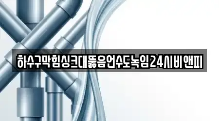 하수구막힘싱크대뚫음언수도녹임24시비앤피