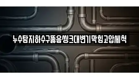 누수탐지하수구뚫음씽크대변기막힘고압세척
