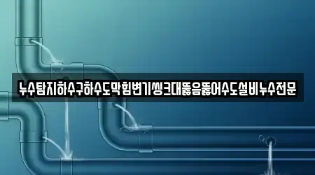 누수탐지하수구하수도막힘변기씽크대뚫음뚫어수도설비누수전문