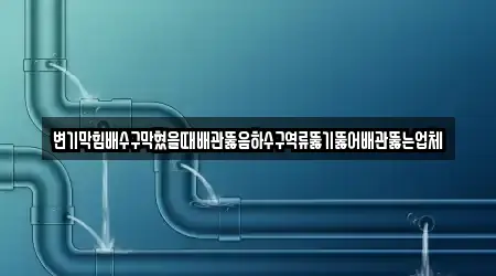 변기막힘배수구막혔을때배관뚫음하수구역류뚫기뚫어배관뚫는업체