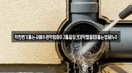 막힌변기뚫는곳배수관막힘하수구뚫음싱크대막혔을때뚫는업체누수
