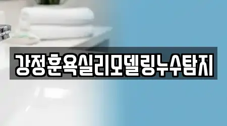 강정훈욕실리모델링누수탐지