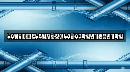 누수탐지아파트누수탐지화장실누수하수구막힘변기뚫음변기막힘