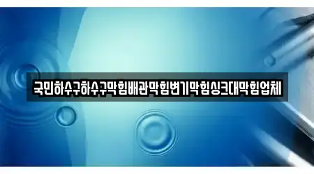 국민하수구하수구막힘배관막힘변기막힘싱크대막힘업체