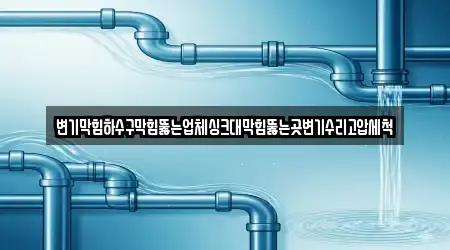 변기막힘하수구막힘뚫는업체싱크대막힘뚫는곳변기수리고압세척
