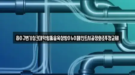 하수구변기싱크대막힘뚫음옥상방수누수페인트시공정화조뚜껑교체