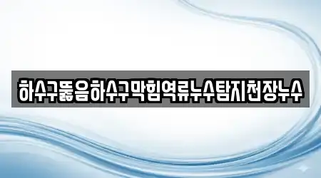 하수구뚫음하수구막힘역류누수탐지천장누수