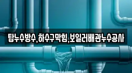 경상북도 안동 율세동 누수 시공 1곳, 위치 보기