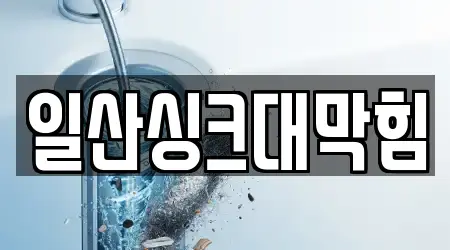 일산싱크대막힘