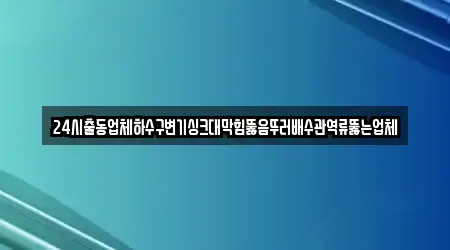 24시출동업체하수구변기싱크대막힘뚫음뚜러배수관역류뚫는업체