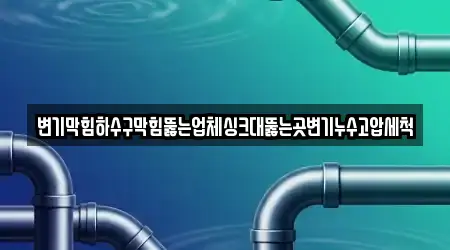 변기막힘하수구막힘뚫는업체싱크대뚫는곳변기누수고압세척
