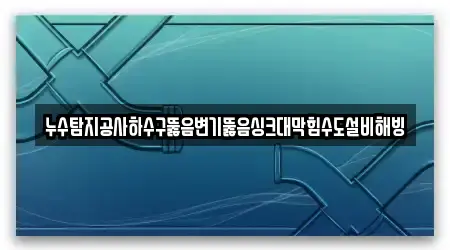 누수탐지공사하수구뚫음변기뚫음싱크대막힘수도설비해빙